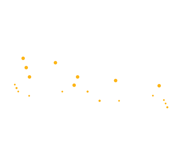 Bozyk Digital Media